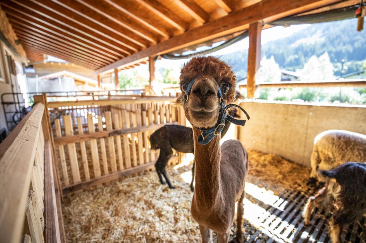 Bauernhof Vorderklinglhub Villa Flachau Luaran gambar