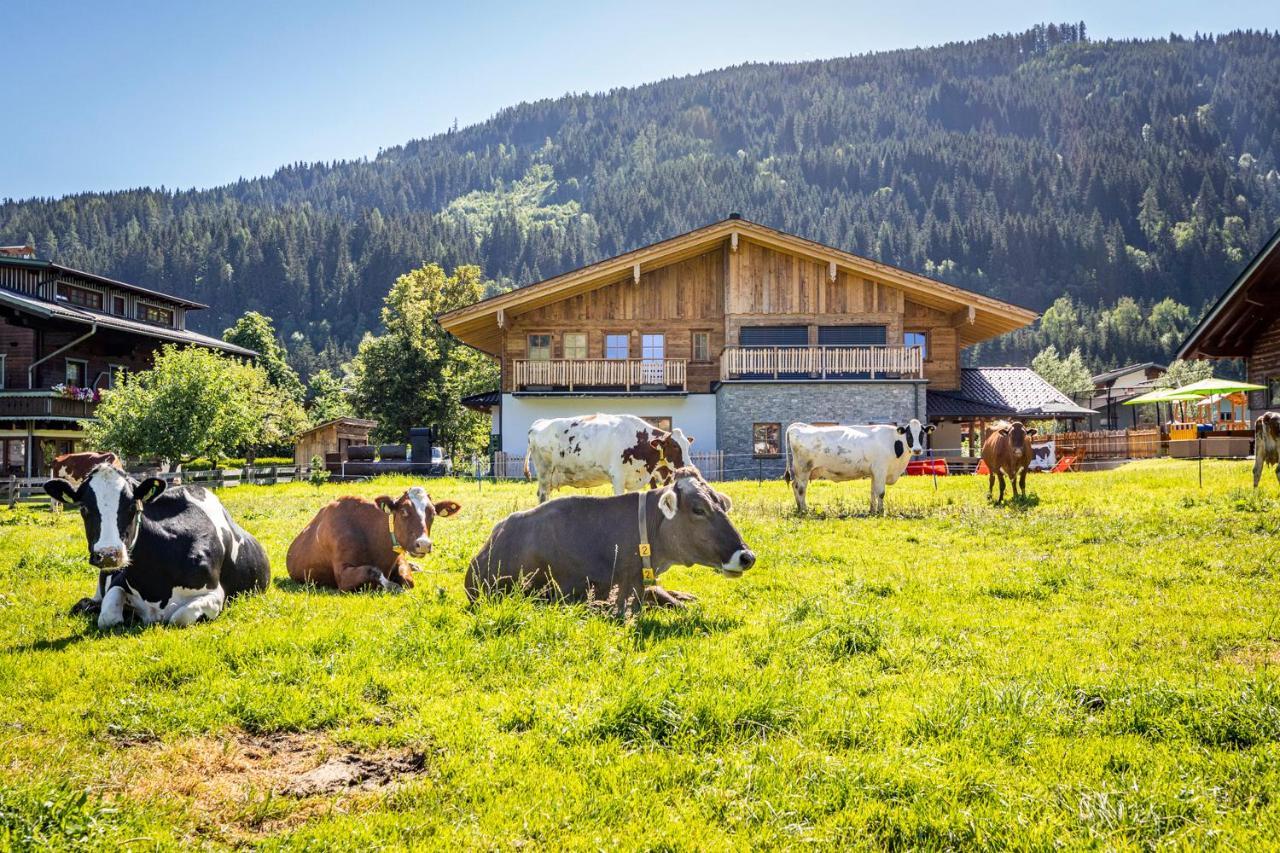 Bauernhof Vorderklinglhub Villa Flachau Luaran gambar