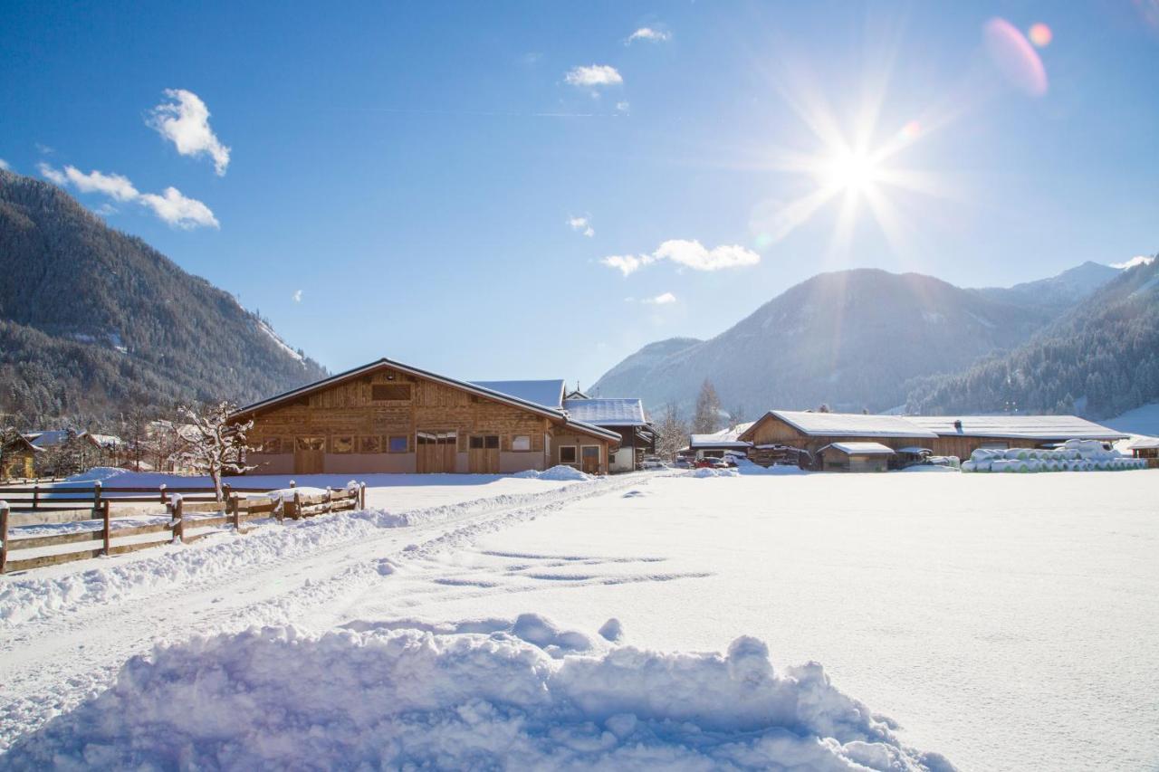 Bauernhof Vorderklinglhub Villa Flachau Luaran gambar