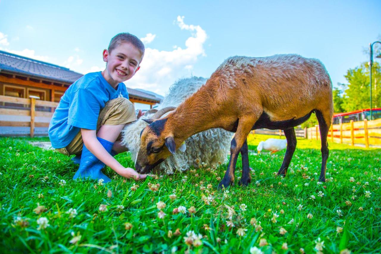 Bauernhof Vorderklinglhub Villa Flachau Luaran gambar